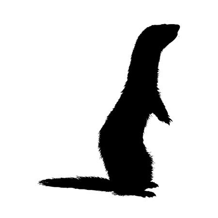 Ferret Standing Iron on Decal